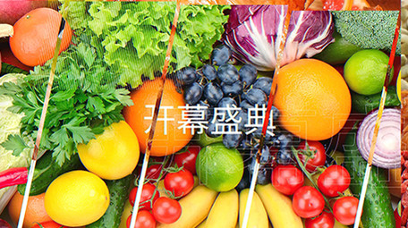 2021年货节图文快闪AE模板