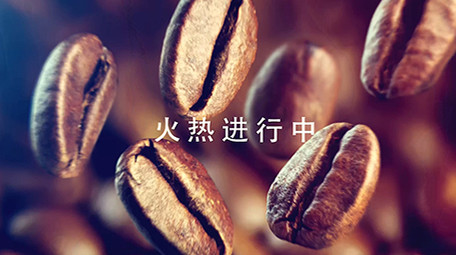 简短年货节开场<strong>快闪</strong>AE模板