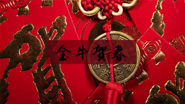 新年除夕祝福<strong>快闪</strong>文字片头<strong>图文</strong>pr模板