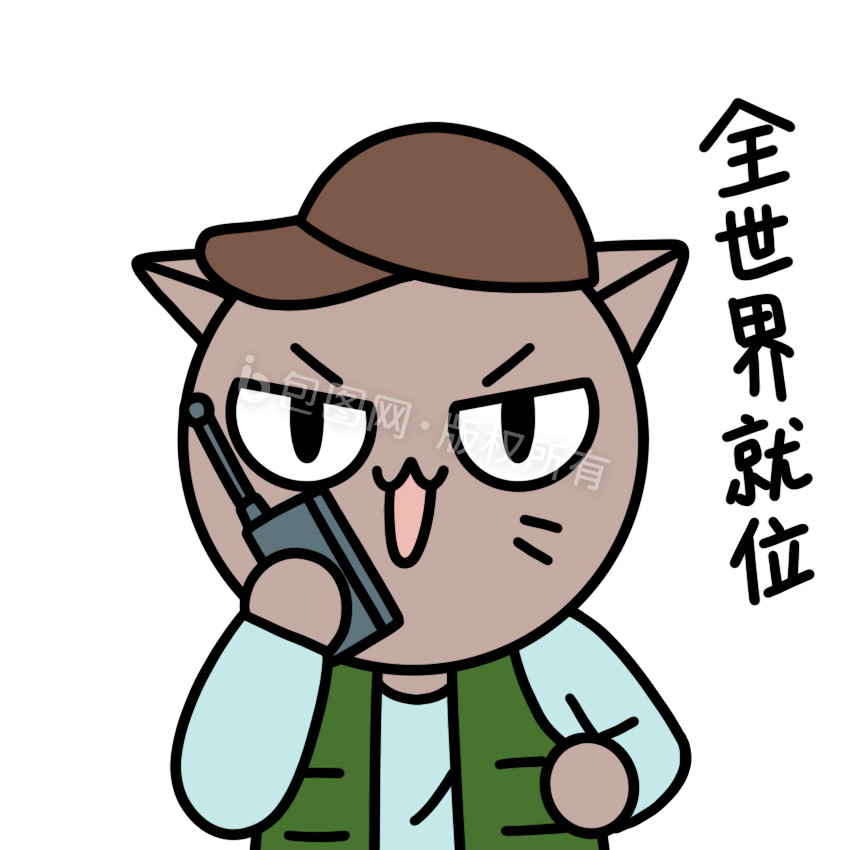 猫导演表情包10动图gif