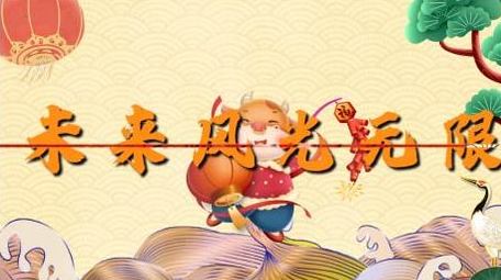 国潮大气牛年新春快闪宣传展示