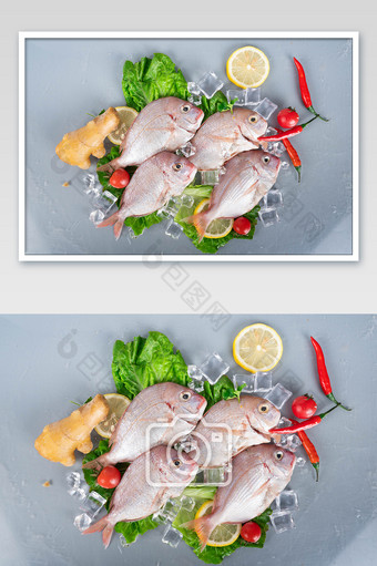海鲜红立鱼食材摄影图图片