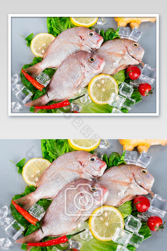 红立鱼海鲜水产摄影图图片