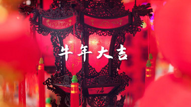 牛年大吉时尚图文快闪宣传PR模板