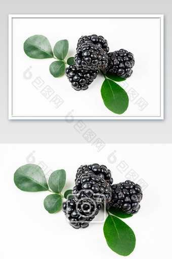 黑莓水果食物摄影图图片
