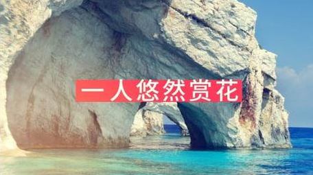 简洁时尚旅游网红打卡快闪图文展示