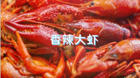 春节时尚美食宴席图文快闪pr宣传