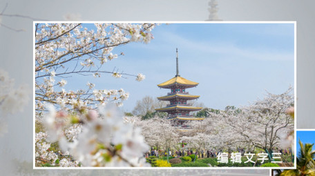 简洁旅游写真图片展示AE模板