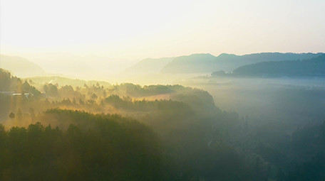 4K航拍清晨大山云海视频素材