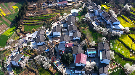 4K航拍春天唯美乡村乡村振兴视频素材