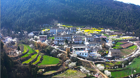 4K航拍春天唯美乡村乡村振兴视频素材