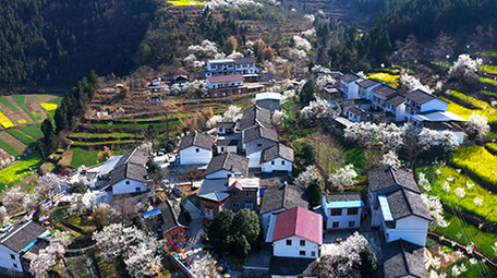 4K航拍春天唯美乡村乡村振兴视频素材