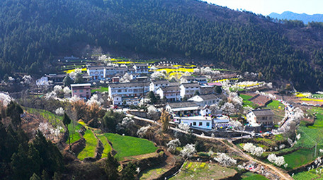 4K航拍春天唯美乡村乡村振兴视频素材