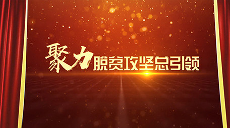 大气金色图文精准扶贫汇聚AE模板