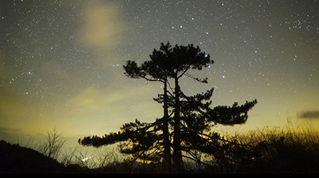 唯美的星空延时摄影