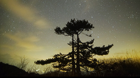 唯美的星空延时摄影