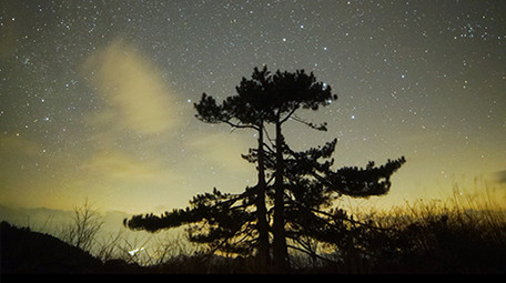 唯美的星空延时摄影