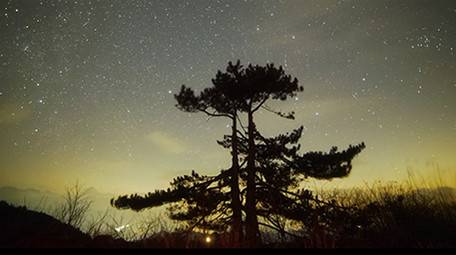 唯美的星空延时摄影