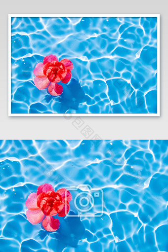 海面漂浮的小红花图片
