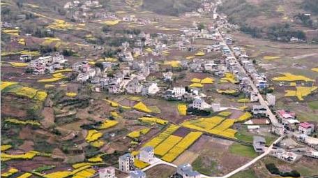 大气农村农业种植航拍行业视频片头片尾