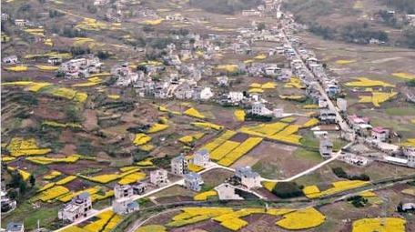 大气农村农业种植航拍行业视频片头片尾