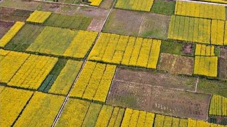 大气农村农业种植航拍行业视频片头片尾