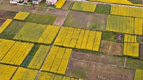 大气农村农业种植航拍行业视频片头片尾