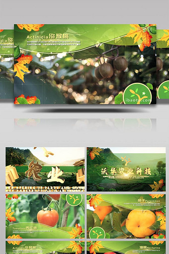 乡村振兴农业农村农产品宣传AE模板图片