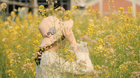 4k升格美女行走在花海背影唯美意境写意