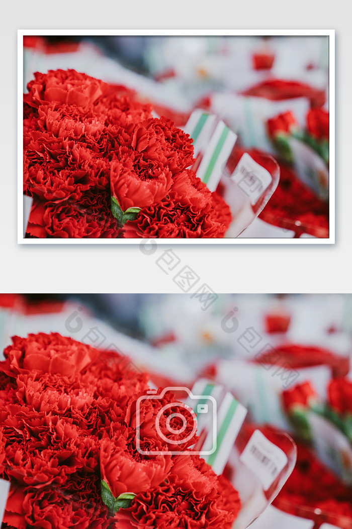 红色鲜花康乃磬花卉花束摄影图图片图片