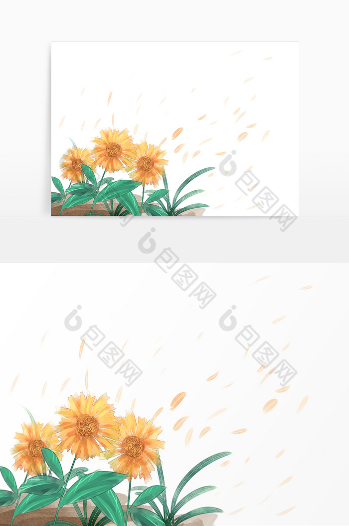 花朵花瓣边框图片图片