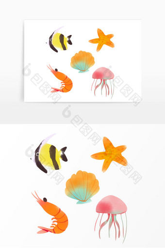 海洋生物小鱼海星贝壳图片
