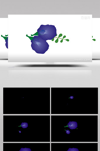简单扁平画风植物类蝶豆花mg动画图片
