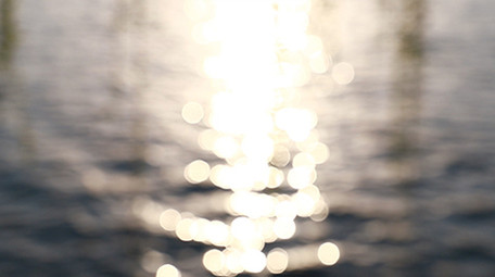 实拍湖边的垂柳春天的梨花