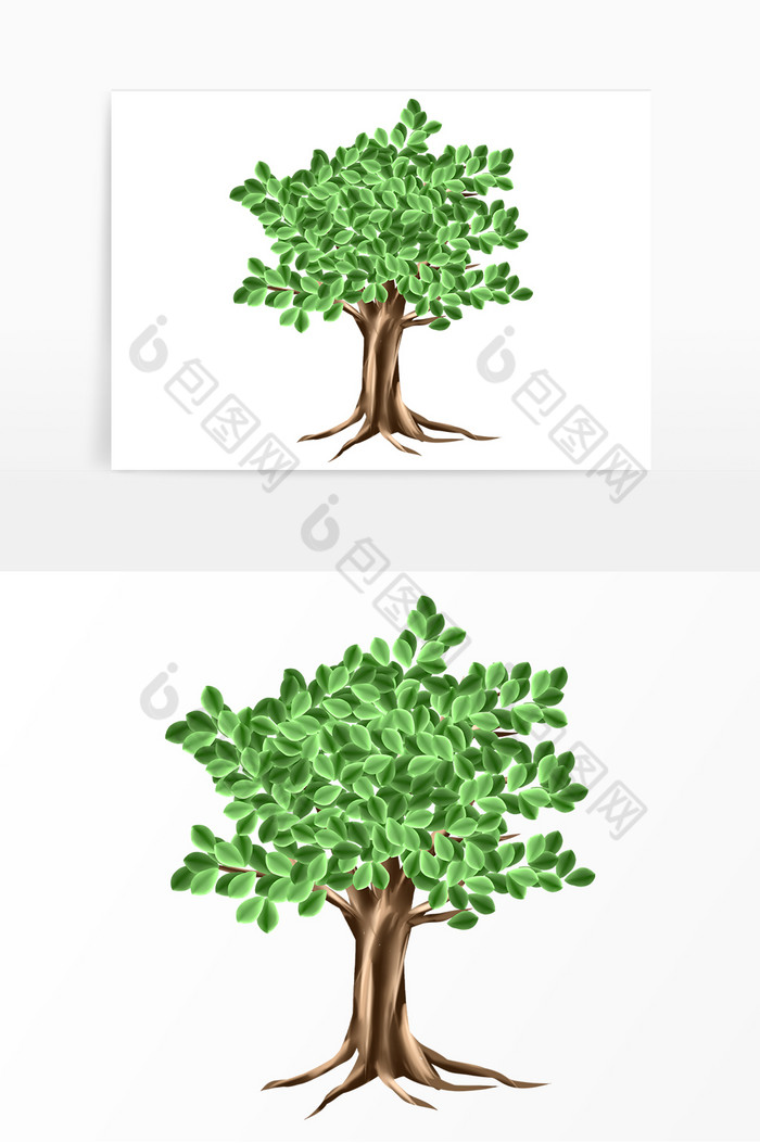 植物树木绿叶图片图片
