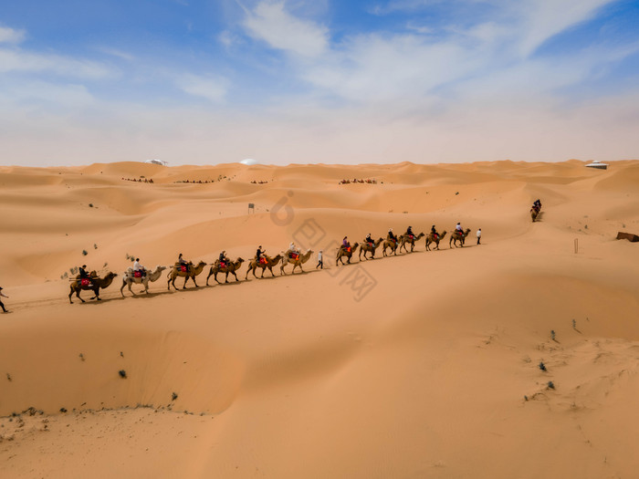 大气宁夏中卫腾格里沙漠骆驼队