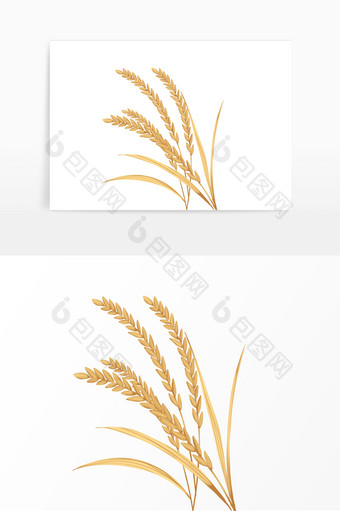 芒种丰收粮食麦子小麦图片