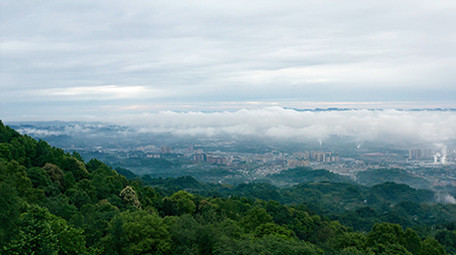 4k实拍清晨大山云海翻腾森林风光