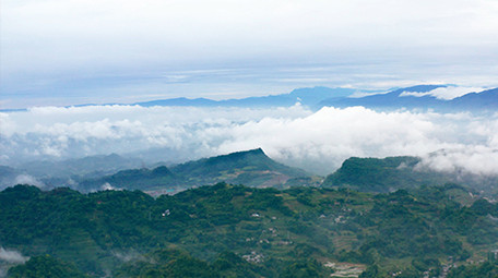4k实拍清晨大山云海翻腾森林风光