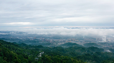 4k实拍清晨大山云海翻腾森林风光