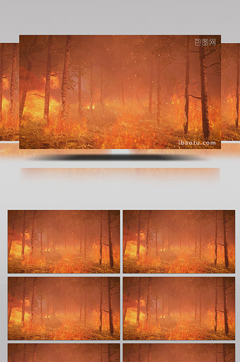 4K森林火灾高清背景视频图片