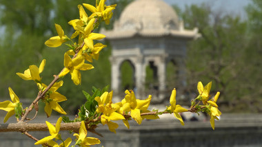 城市风貌<strong>地标</strong>建筑<strong>北京</strong>圆明园场景