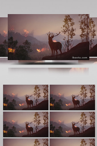4K森林山火动物家园高清背景视频图片