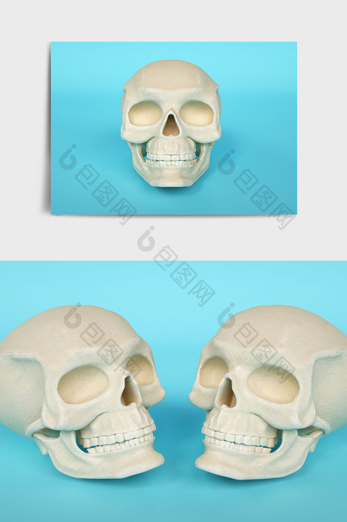 个性定制人体白骨头颅骨骼主题C4D元素图片图片