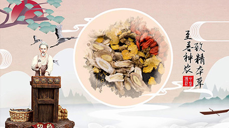 中医文化素雅古风弘扬图文宣传会声会影模版