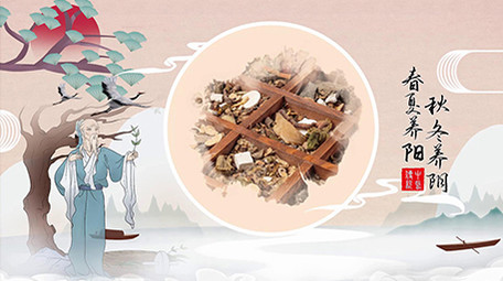 中医文化素雅古风弘扬图文宣传会声会影模版