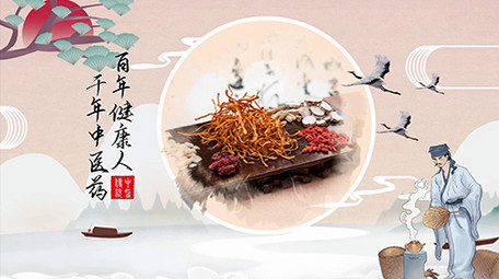 中医文化素雅古风弘扬图文宣传会声会影模版