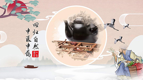 中医文化素雅古风弘扬图文宣传会声会影模版