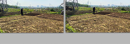 行业职业农业春种土地农民劳作4K实拍视频