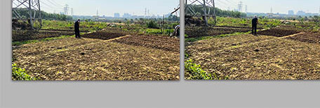 行业职业农业春种土地农民劳作4K实拍视频